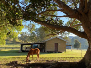 Stay at the Barn... Immerse yourself in nature., Kenilworth